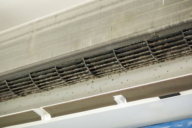 Best Ductwork Odor Removal in Radisson, NY